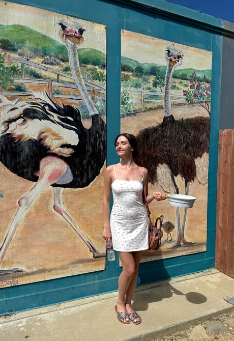 Brunette Serena Hill gives closeup of feet after showing panties and pussy in public - 5 of 16